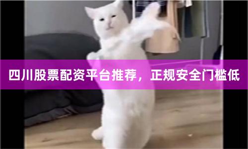 四川股票配资平台推荐，正规安全门槛低