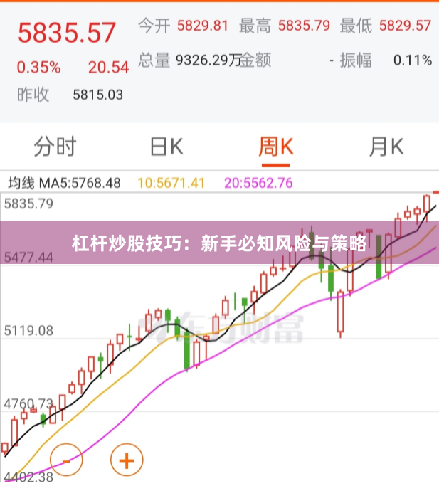 杠杆炒股技巧：新手必知风险与策略